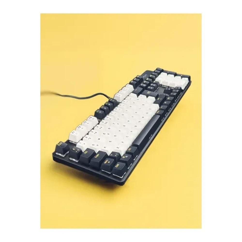 Klavye Oyuncu Gaming RGB Mekanik Blue Switch Secuzi LIG-3101