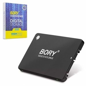 Hard Disk SSD 256 GB Bory R500-C256G