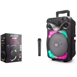 Bluetooth Hoparlör Usb-Sd 8 İnç 234x183x360 Mm Auris ARS-KLN170